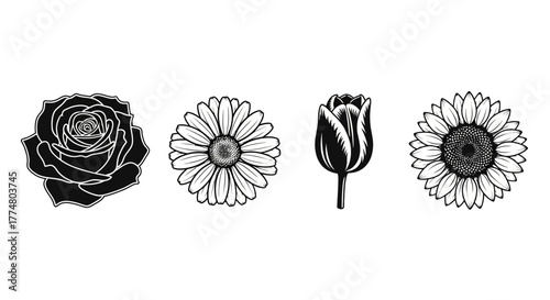 Four flower illustrations: rose, daisy, tulip, and sunflower in black and white.