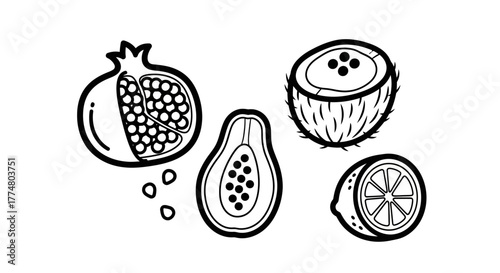 Black and white line art illustration of various cut fruits.