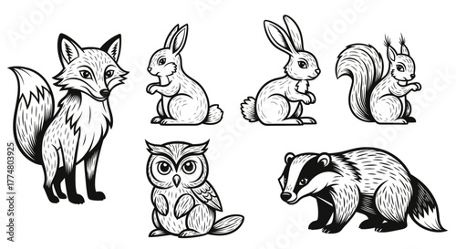 Illustration of woodland animals including a fox, rabbits, squirrel, owl, and badger in black and white.