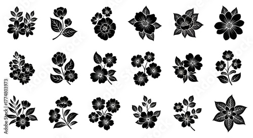Silhouetted floral designs, a collection of stylized flower illustrations.