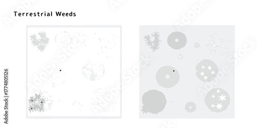 Abstract illustration of terrestrial weeds and plants in a garden design context with different textures and shapes