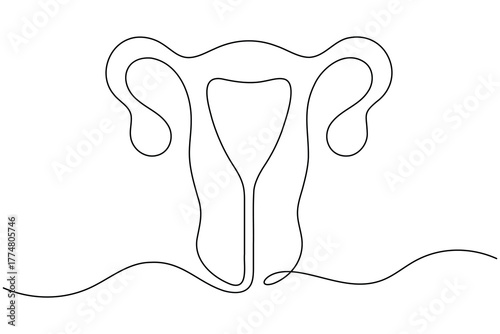 Woman uterus organ continuous one line drawing on white background minimalist reproductive system outline vector illustration