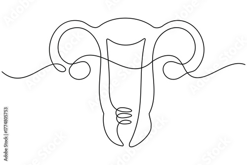 Woman uterus organ continuous one line drawing on white background minimalist reproductive system outline vector illustration