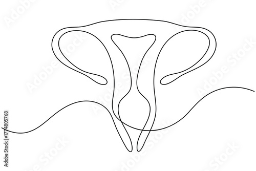 Woman uterus organ continuous one line drawing on white background minimalist reproductive system outline vector illustration