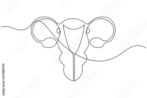 Woman uterus organ continuous one line drawing on white background minimalist reproductive system outline vector illustration