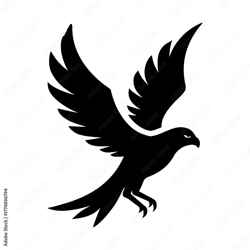 Obraz premium silhouette in flight minimal style