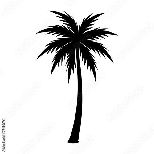 elegant palm tree silhouette gentle curve