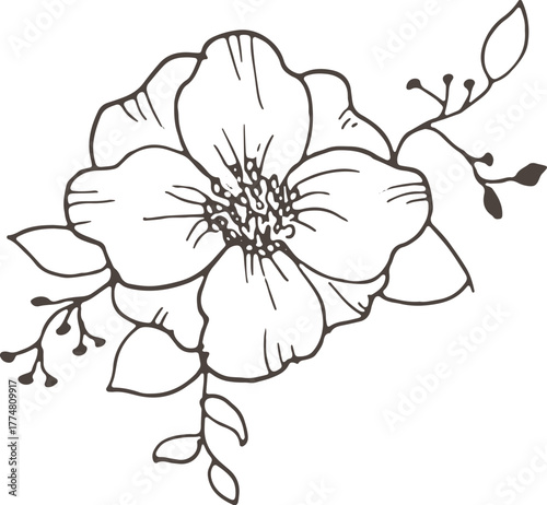 vector illustration of a flower