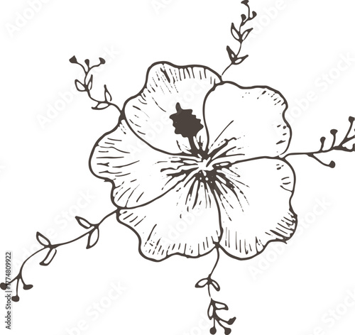 vector illustration of a flower