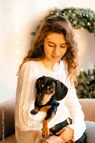 beautiful curly girl in a white sweater with dark hair sits on an armchair and holds a black dachshund in her arms. happy New Year's portrait on the background of a Christmas tree and a white window