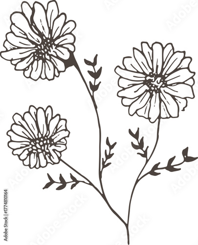 vector illustration of a flower