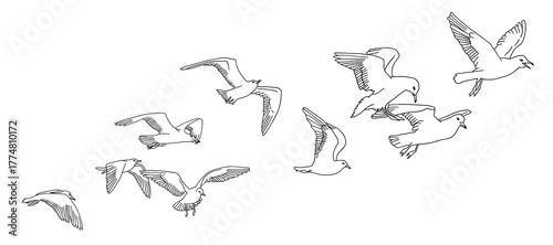 hand drawn vector illustration of a horse