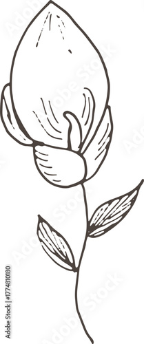 hand drawn vector illustration of an apple with flowers