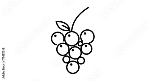 Stylized drawing of a bunch of grapes with a leaf on a white background.