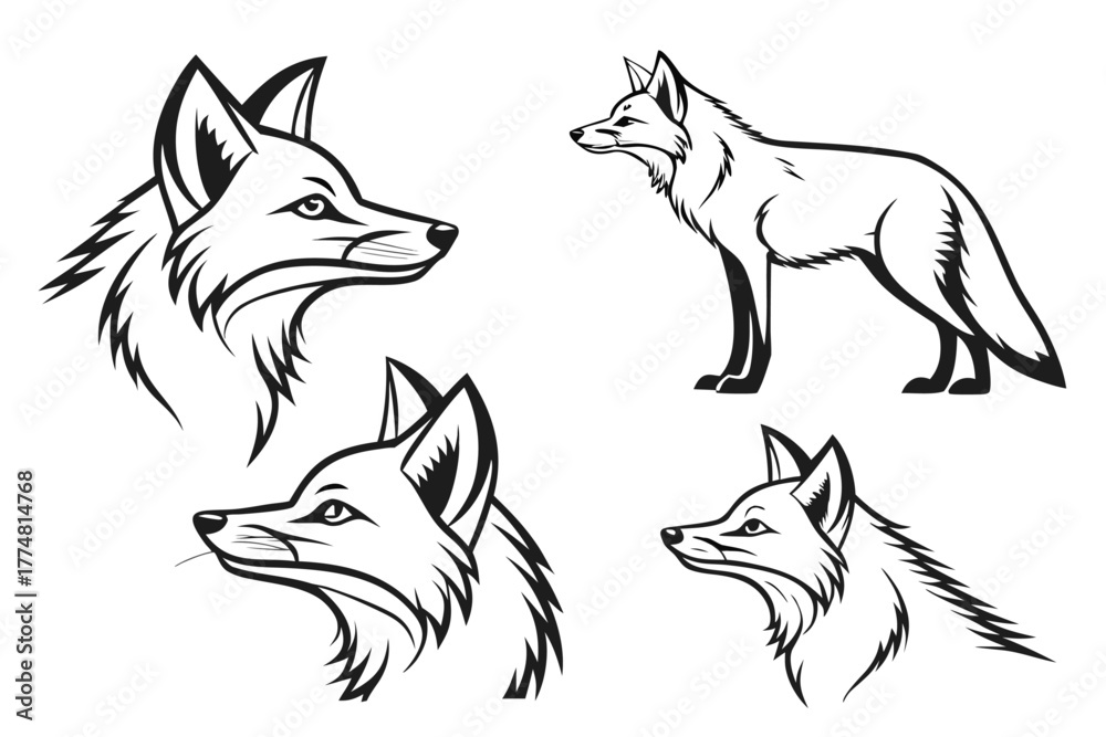 Obraz premium Minimalist realistic fox portrait and icon set