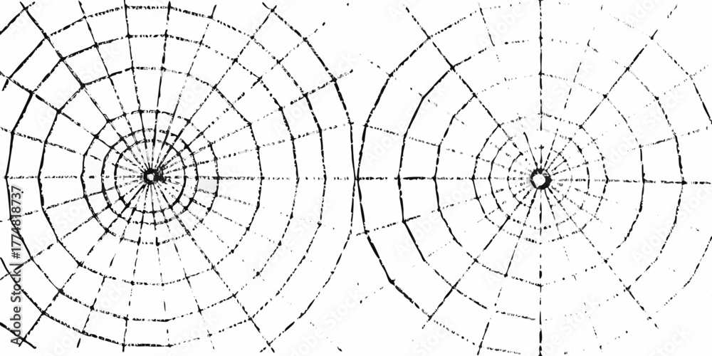 Obraz premium Two abstract black and white spider webs with concentric circles and radial lines on a white background
