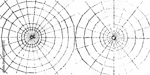 Two abstract black and white spider webs with concentric circles and radial lines on a white background