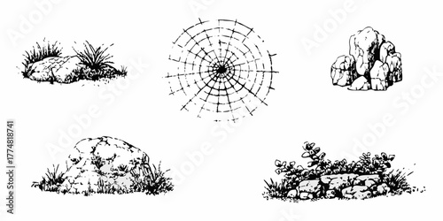 Collection of hand drawn black and white illustrations of rocks plants and a spider web design