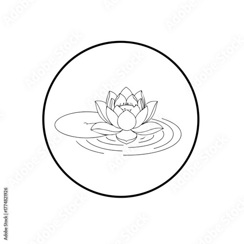 A realistic sketch style illustration of a lotus resting on water, showing detailed petals and ripple effects.