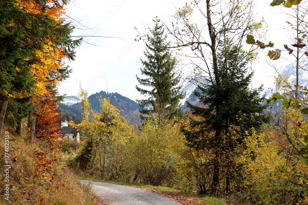 Obraz premium Idyllic autumn road leading through a mountain forest with vibrant fall foliage and evergreen trees. A small house sits nestled in the background beneath the Alpine peaks on a cloudy day.