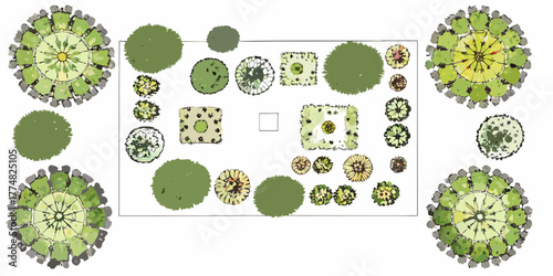Top down view botanical garden design plan with various plants and trees illustrated