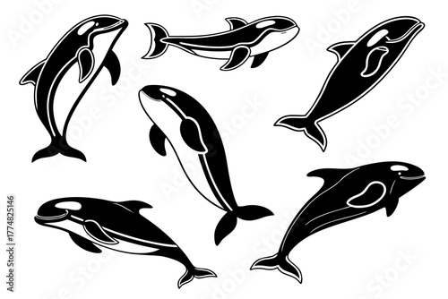 Minimalist beluga whale icon set with eight unique designs
