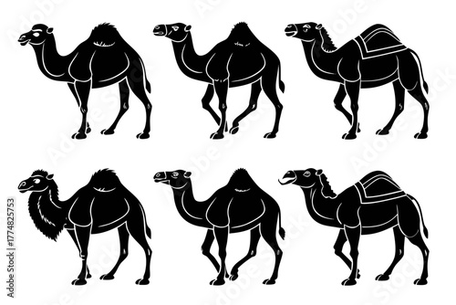 Minimalist bactrian camel icon set