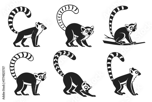 Minimalist cartoon lemur icon set with colorful accents