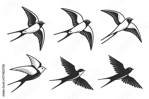 Minimalist barn swallow in flight icon set