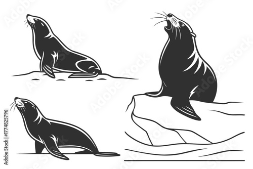Minimalist basking sea lion icon set with eight unique designs