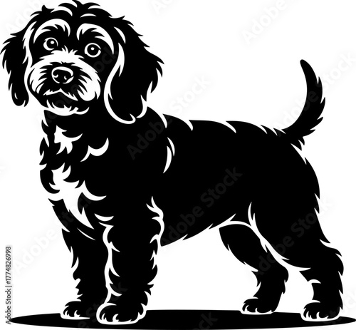 Cockapoo silhouette vector illustration