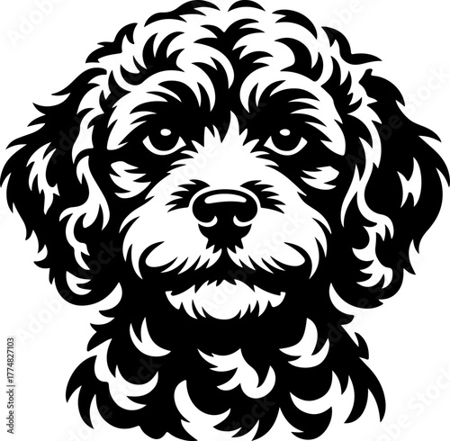 Cockapoo silhouette vector illustration