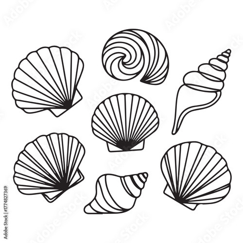Modern Seashell Outline Drawing Abstract Vector