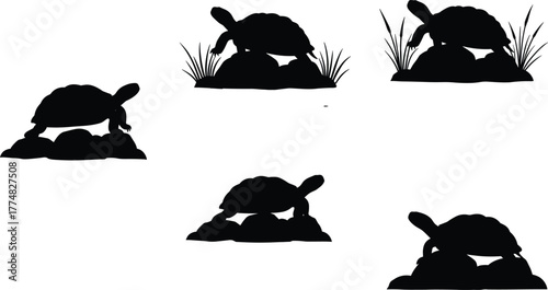 Turtle silhouettes on rocks and grass, tortoise vector illustration, wildlife animal design, nature black silhouettes, reptile art for decoration