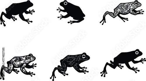 Frog silhouettes and detailed vector designs, amphibian illustration set, black and patterned frogs, wildlife art collection, nature animal drawing design
