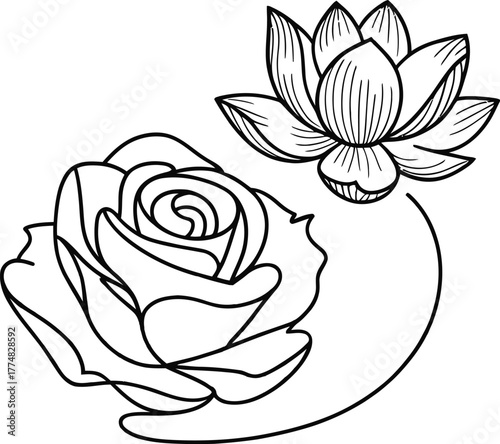 **Seamless pink rose and lotus flower vector