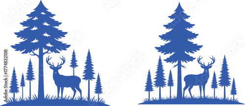 Deer with antlers in a forest with pine trees stag