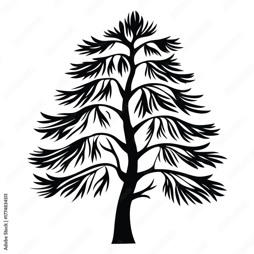 Obraz premium Detailed silhouette showcases a coniferous tree with distinct branching and needlelike leaf structures