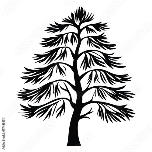 Detailed silhouette showcases a coniferous tree with distinct branching and needlelike leaf structures