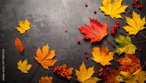 Autumnal Symphony - A Tapestry of Maple Leaves and Rowan Berries.
