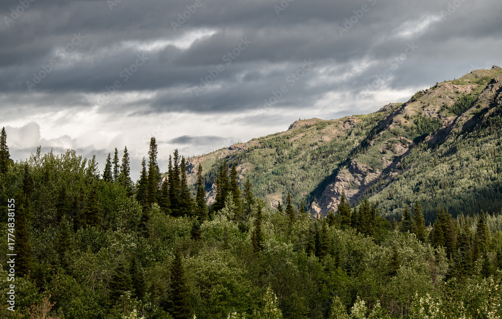 Obraz premium landscape in the mountains
