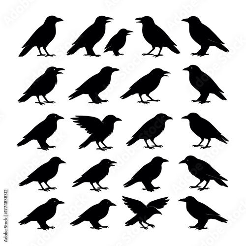 A collection of detailed black crow silhouettes in various poses and actions silhouette