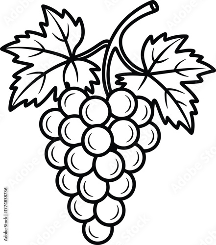 A detailed line art illustration of a ripe bunch of grapes presented cleanly on a plain white background perfect for various design applications