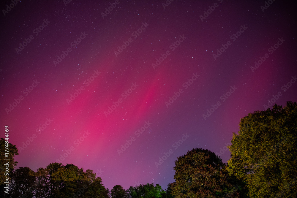 Fototapeta premium aurora in the night sky