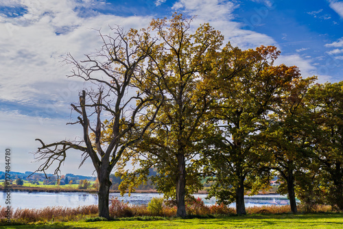 Autumn River Landscape