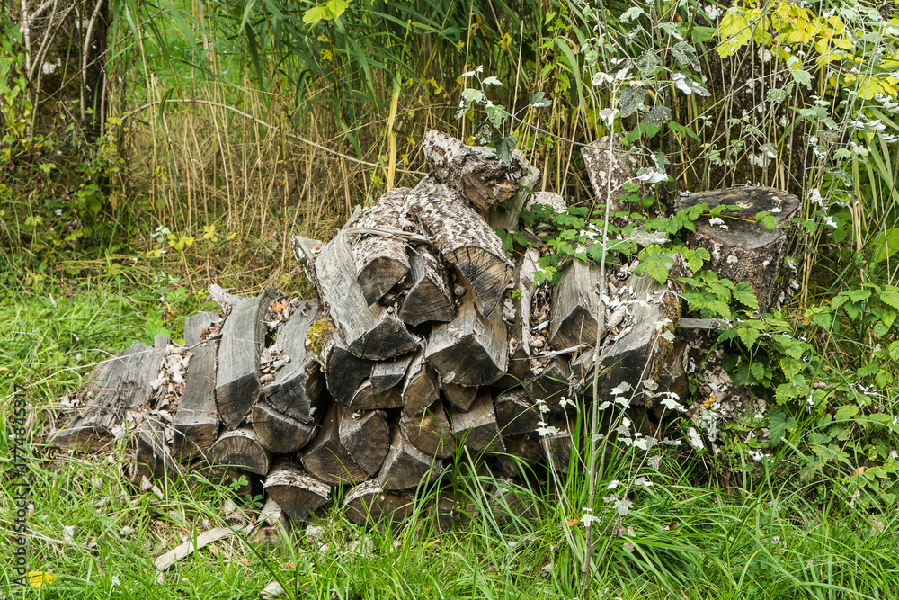 Obraz premium a stack of firewood in the grass in a park in the French Vosges region in summer 