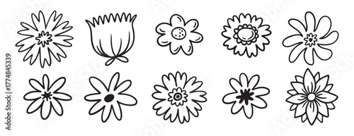 flowers decoration doodle hand drawn icon set. Outline drawing chamomile flower buds line clipart symbol collection. 