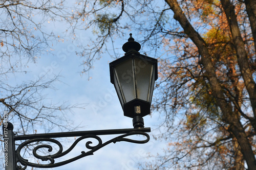 Ancient street lamp in the autumn park against blue sky  with trees branches  landscape. 