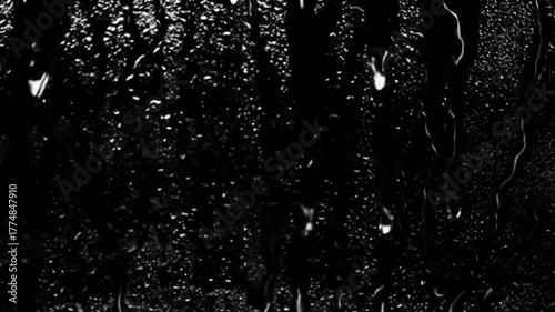 rain drops on the window