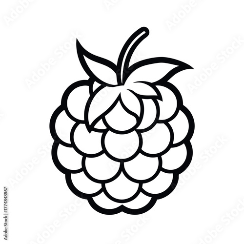 Raspberry Outline Line Art Vector Design